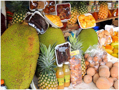 Jalcocotan Screenshots 0