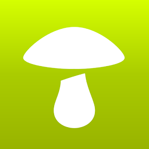 ik-Champi logo