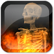 Skull Fire Live Wallpaper icon