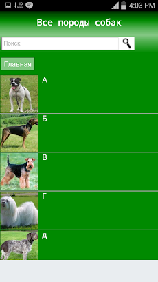 Все Породы Собакのおすすめ画像1