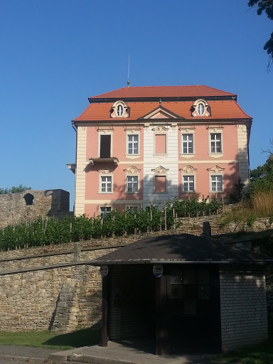 Zamek s vinici - Chvalkovice