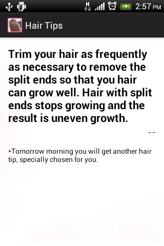 Daily Hair Style Tips for Free