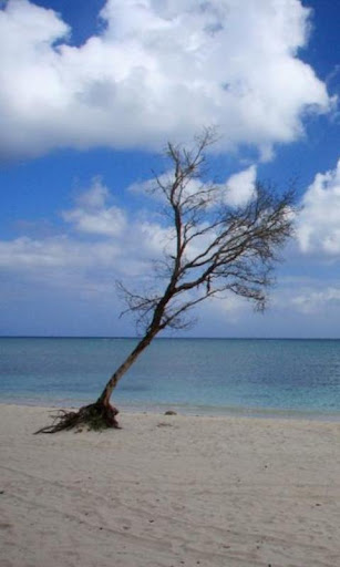 免費娛樂App|300 Amazing Beach Pictures HD|阿達玩APP