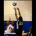 Volleyball illustrated logo