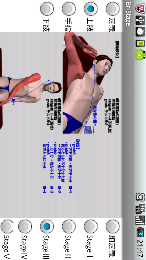 ブルンストロームステージ（片麻痺機能検査） Screen 2