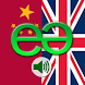 Chinese to English Pro