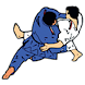 Judo Enter the Dojo