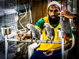 Feeding The Birds by John Medel Tan -  