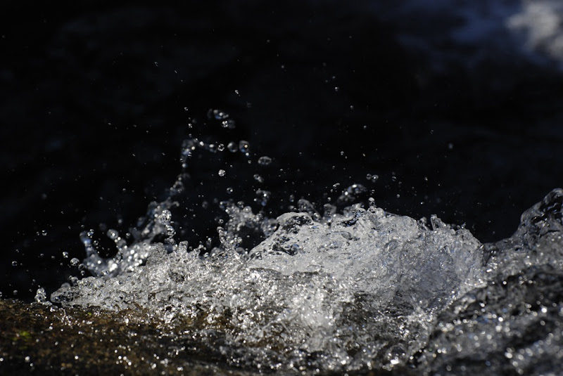 _DSC0236 copy.JPG