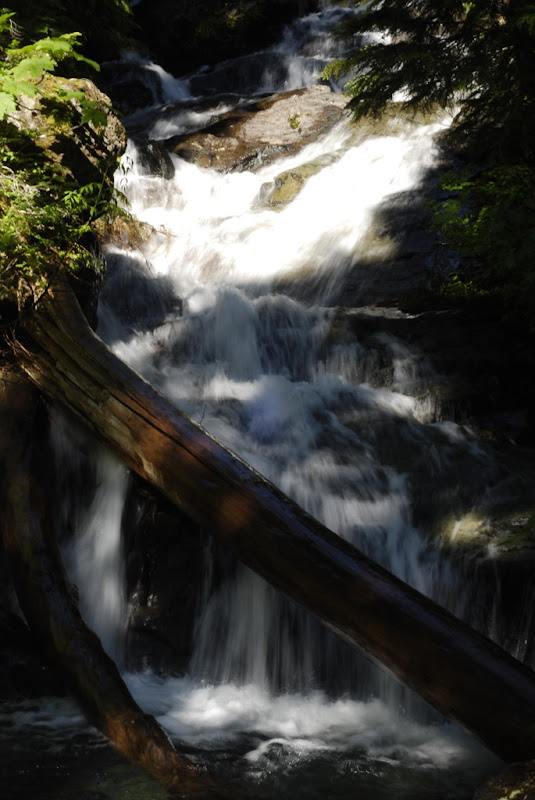 _DSC0259 copy.JPG