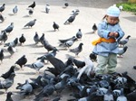 Kid and Pigeons at the Dashchoilin Monastery
