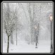 Winter in the Park Theme
