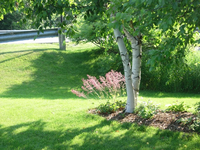 [summer0153.jpg]