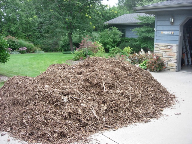 [bark chips 001[3].jpg]