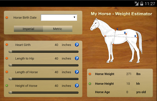 My Horse - Weight Estimator