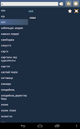 Kazakh Tatar Dictionary poster 9