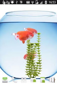 トップ100 スマホ 壁紙 金魚 美しい花の画像