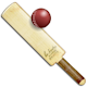 My Cricket News World APK