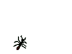 [ant[4].gif]