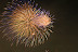 IMGP7394.jpg