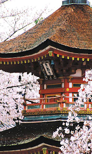 Kyoto Wallpapers Screenshots 0