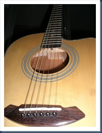epiphone guitar 004