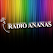 Radio Ananas icon