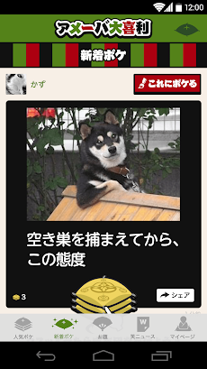 ２秒で笑えるボケ画像はアメーバ大喜利 おもしろ写真にボケて Androidアプリ Applion