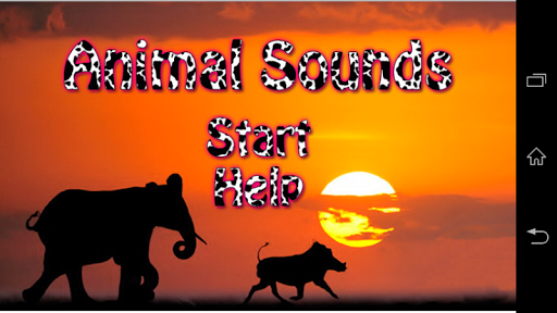 Animal Sounds