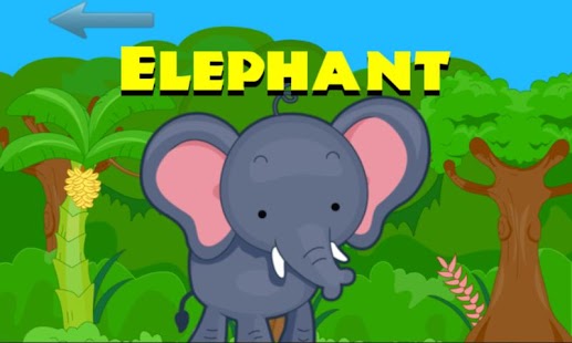 Safari