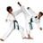 Taekwondo Martial Arts logo