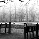 expectation.. by Dubravka Bednaršek -  