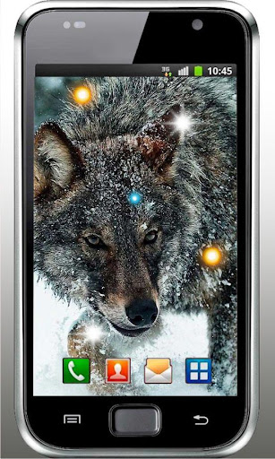 Angry Wolf HD live wallpaper