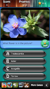 Flowers and Blossoms Quiz HD Screenshots 8