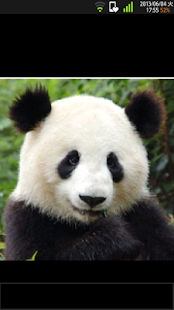 Free Download Bouncy IMAGE VIEWER APK for Android