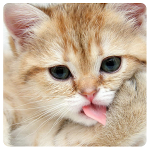 iAnimaux - Cris des animaux.apk 2.4