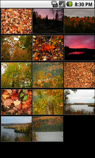 Algonquin Park Seasons Autumn