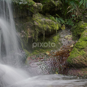 Glistening Rock by Judy Hall-Folde - Landscapes Waterscapes