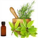 Herbs, Oils and Aphrodisiacs logo