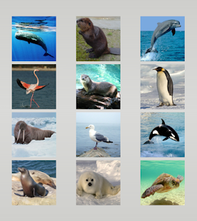 Animal sounds Screenshots 20