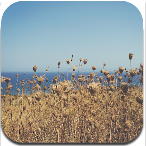 HD Spring Wallpaper 1.0