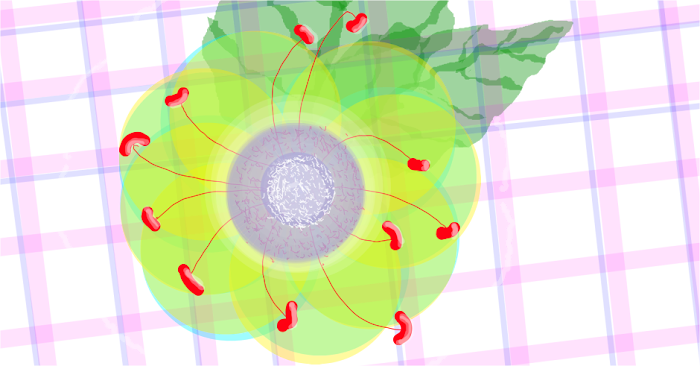 Drawing 310066