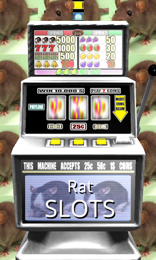3D Rat Slots - Free