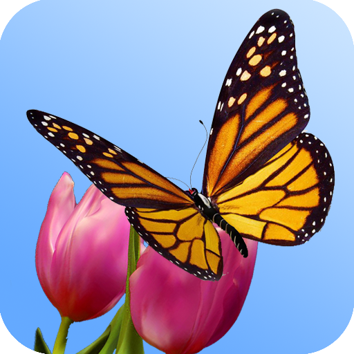 3D Butterfly Garden Wallpaper LOGO-APP點子