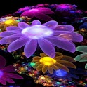 3D flower 017