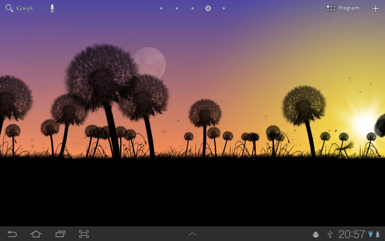  Gambar  Wallpaper  Bunga  Dandelion  Gudang Wallpaper 