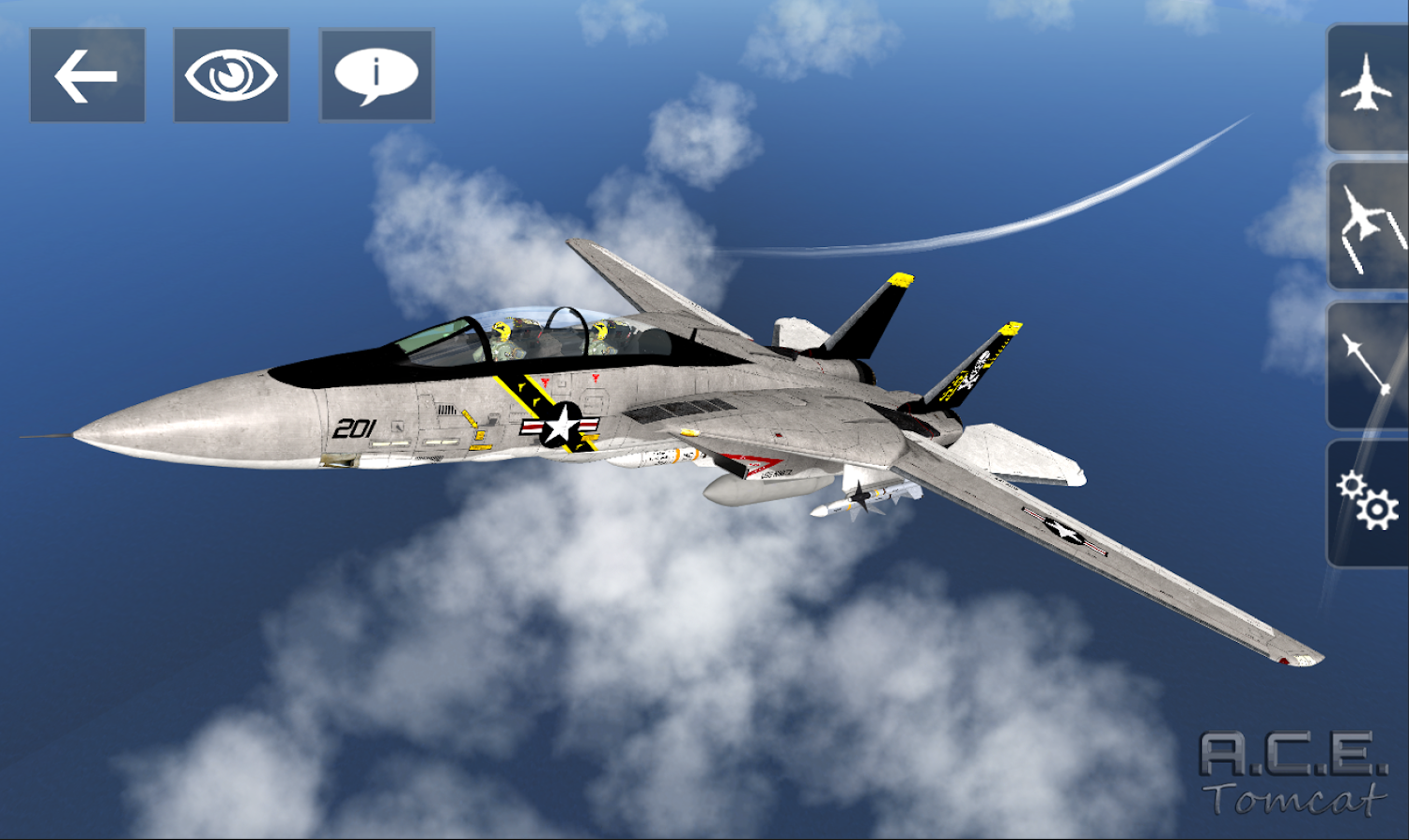 A.C.E. Tomcat - screenshot