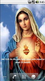 Saint Mary Live Wallpaper poster 3