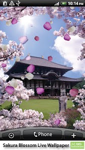 Sakura Blossom Live Wallpaper screenshot 1