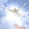 Dove in Flight in the Light Li logo